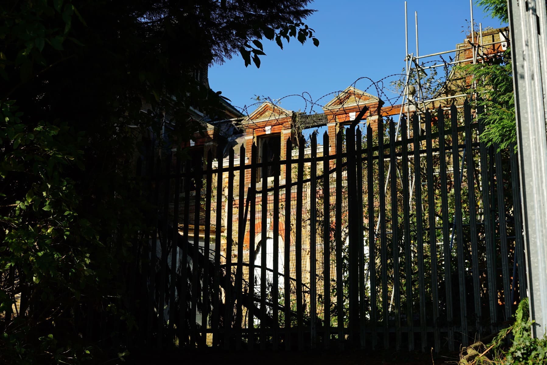 「精神疾患＝隔離」の時代は終わる｜地域共生で孤立しない治療を